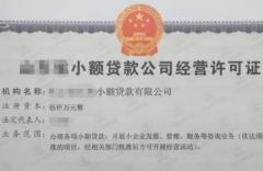 最高法认定小额贷款公司为金融机构，枣庄民间借贷不受民间4倍LPR利率限制